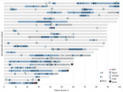 Phenotypes and Baseline Risk Factors of Acute Kidney Injury in Children After Allogeneic Hematopoietic Stem Cell Transplantation